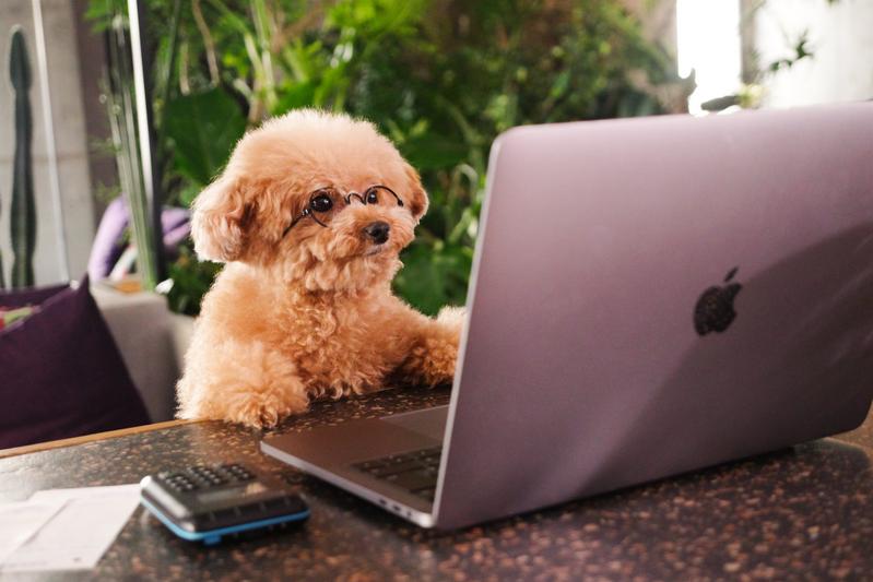 ワンチャン、俺にも就職先あるかもな　パソコン　ぱくたそ